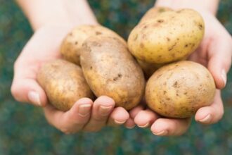 thinkstockphotos.com