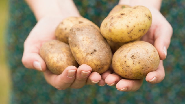 thinkstockphotos.com