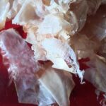 Graciala Cucchiara -- Katsubushi, japanische Bonitoflocken für den Dashi