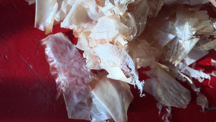 Graciala Cucchiara -- Katsubushi, japanische Bonitoflocken für den Dashi