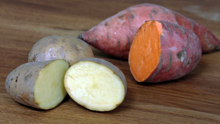 Kartoffel Marketing GmbH - www.die-kartoffel.de