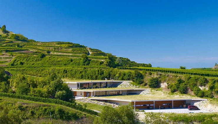 Das Weingut der Familie Keller fügt sich harmonisch in die Landschaft des Kaiserstuhl ein