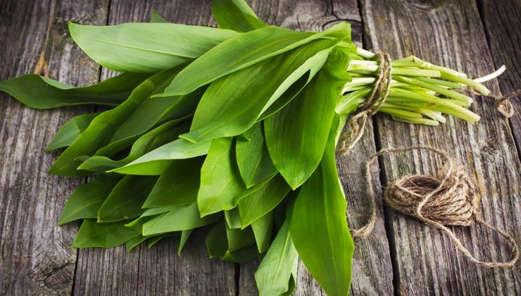 thinkstockphotos.com