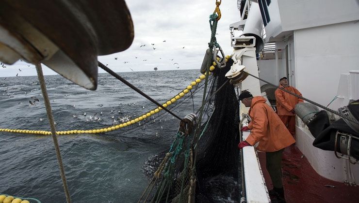 Goffe Struiksma -- Holländischer Matjes