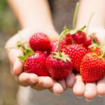 thinkstockphotos.com