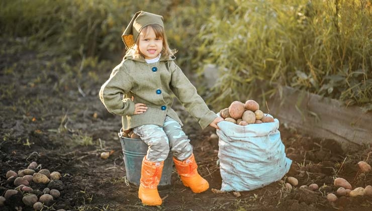 thinkstockphotos.com -- Wer gibt den Kartoffeln ihre Namen?