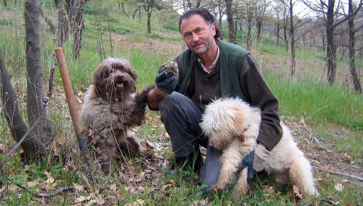 Privat -- Klaus-Wilhelm Gérard und seine Trüffelhunde