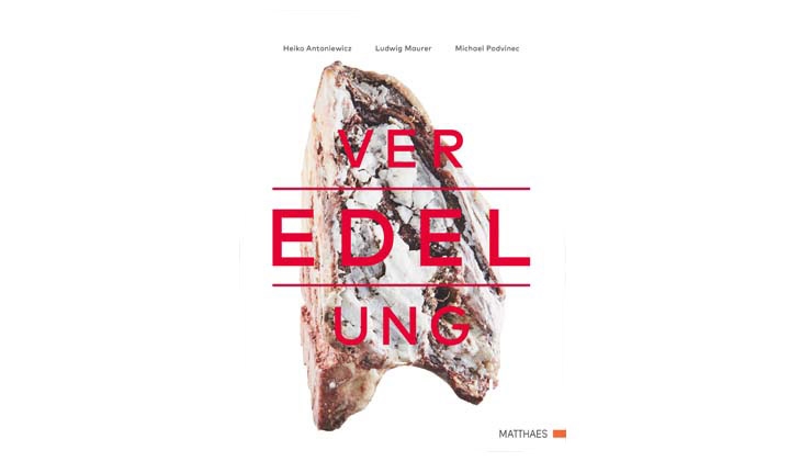 Volker Debus und Matthaes Verlag