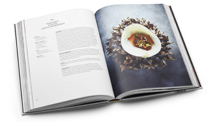 ikarus blick ins buch