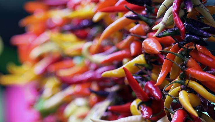 thinkstockphotos.com -- Kleine Chilis...