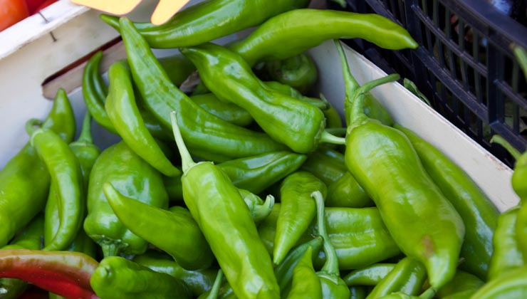 unterschied chili peperoni