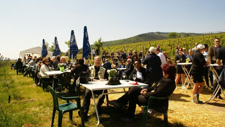 Weingut Graf Weyher_SÜW e.V. -- Genuss wird in der Südpfalz groß geschrieben