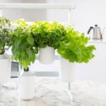 Prêt à Pousser -- Modulo - das Indoor Gardening-System von Prêt à Pousser