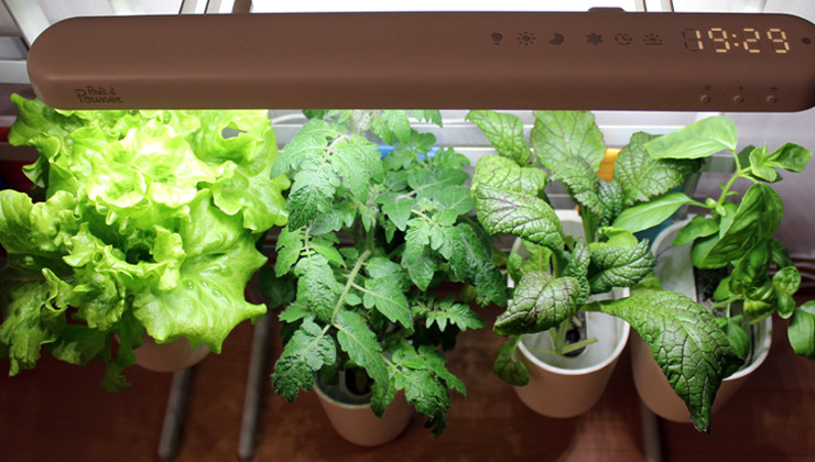 modulo pret a pousser test