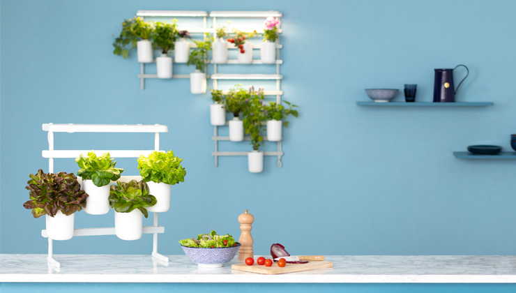 modulo pret a pousser