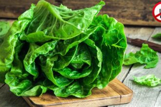 gettyimages -- Mit diesen Tipps bleibt Salat frisch