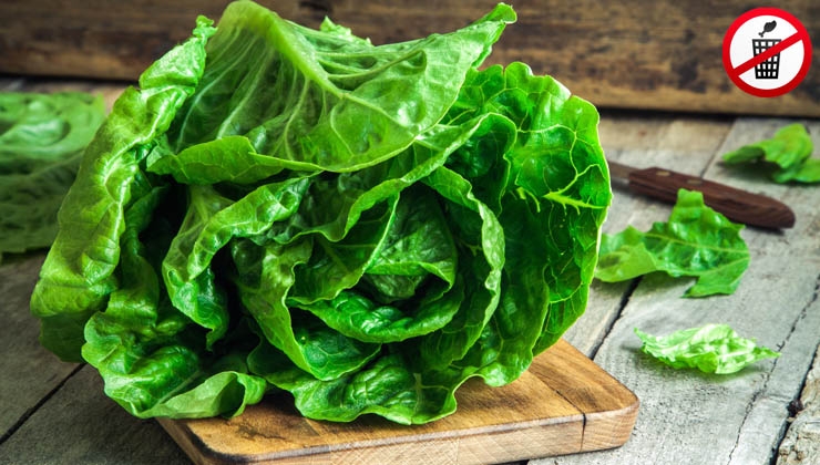 gettyimages -- Mit diesen Tipps bleibt Salat frisch