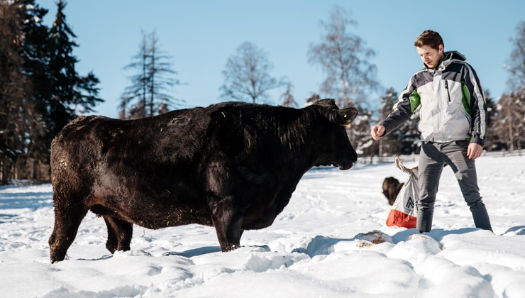 Stefan Rottensteiner; Derk Hoberg -- Wagyu-Züchter Rottensteiner auf der Weide