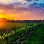 Danny Burns & Ryan Cordwell for Experience Scottsdale