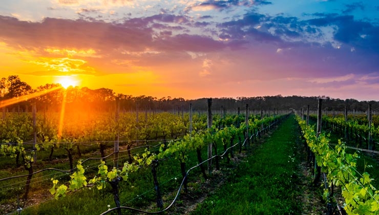 Danny Burns & Ryan Cordwell for Experience Scottsdale