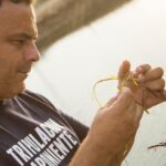 Aponiente -- Ángel León begutachtet sein Meeresgetreide