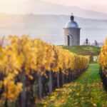 Czech Tourism; Jessica Bachmann, David Marvan, Petr Slavik