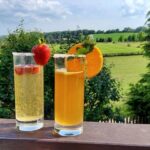 Diana Bachmann -- Holunder-Limonade und viele weitere Holunder-Rezepte