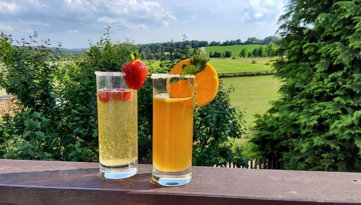 Diana Bachmann -- Holunder-Limonade und viele weitere Holunder-Rezepte