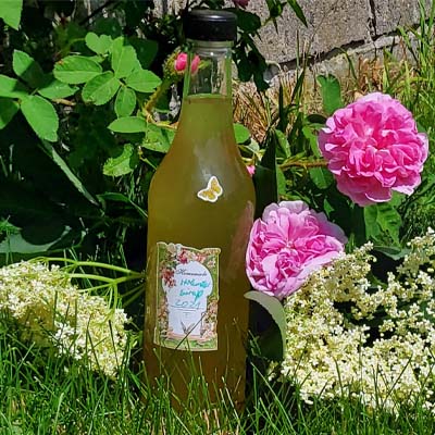 holundersirup rezept