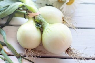 Jill Wellington auf Pixabay