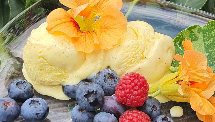 Diana Bachmann -- Vanilleeis selber machen - Die Anleitung