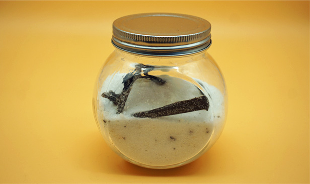 vanillezucker selber machen