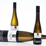 Tesch Riesling