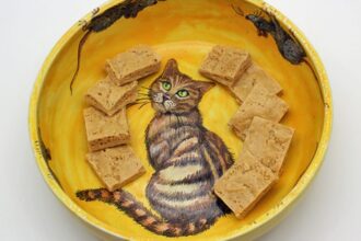 Diana Bachmann - Karamellbonbons selber machen