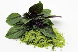 Diana Bachmann -- Die besten Methoden um Kräuter haltbar zu machen