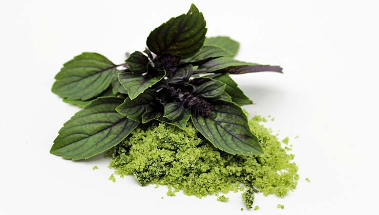 kraeutersalz krauter haltbar machen