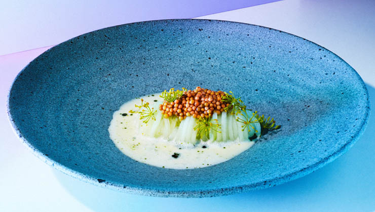 micha schaefer schmorgurke nobelhart und schmutzig