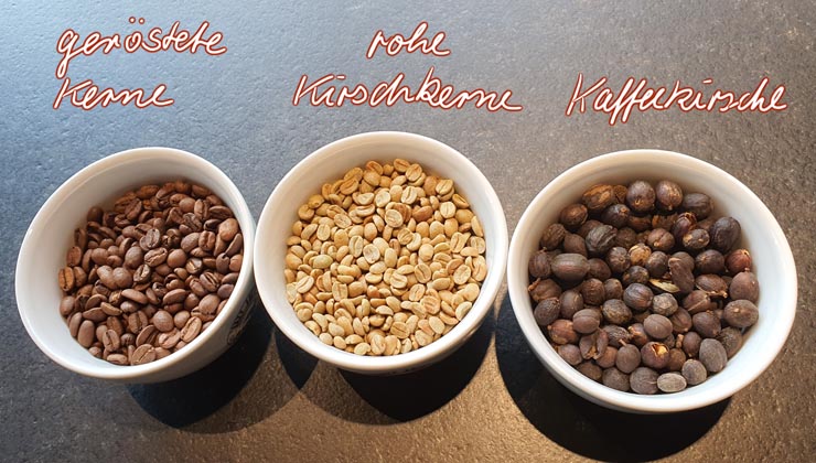 Kaffee Aroma Sorten Kaffeekirsche Kaffeebone