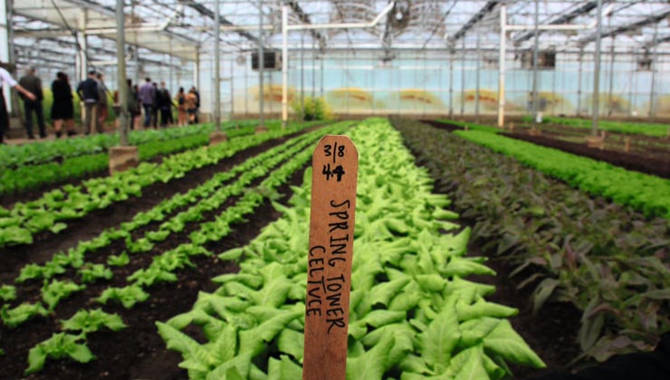 dan barber farm new york