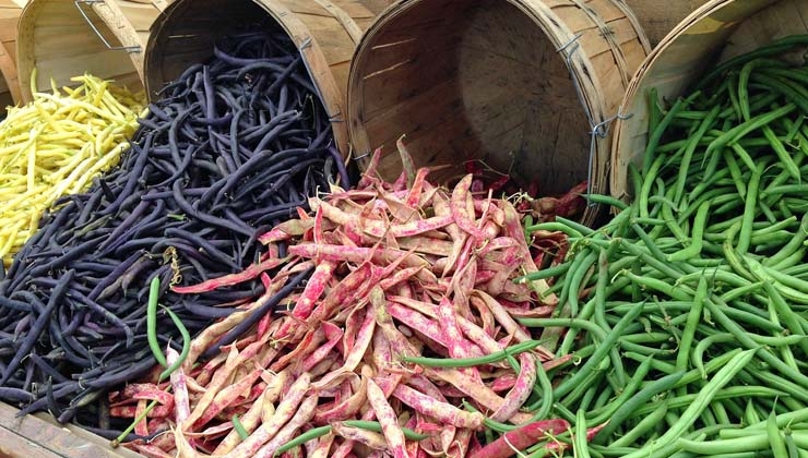 annquasarano auf Pixabay