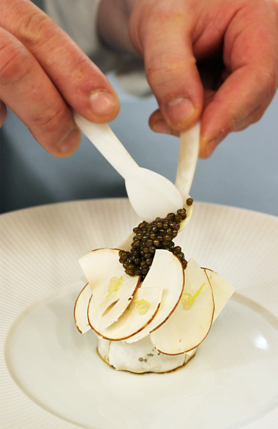 Kaviar Sorten Fakten