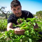 Castell Son Claret -- Jordi Cantó im Garten Gemüsegarten des Hotels