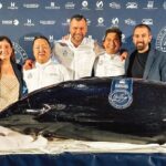 Julia Curtó; Chef Balfegó Tabea Einberger