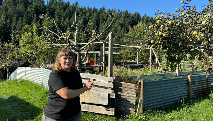 ellmau schneckenzucht