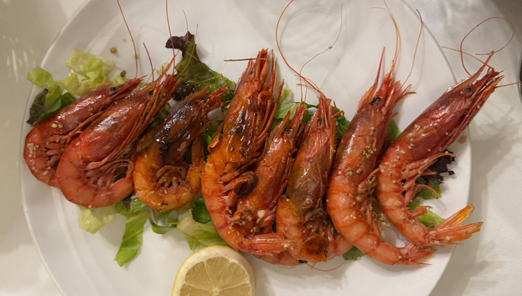 Sant Antoni de Portmany