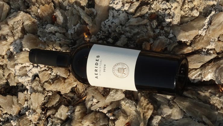 Makarounas Winery, Derk Hoberg, Thanos Hotels