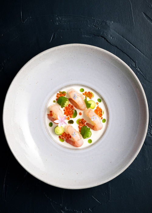 Seafood Gastro